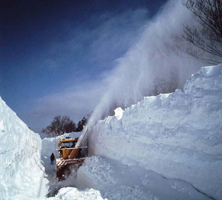 The heaviest snow in Toronto you never seen……