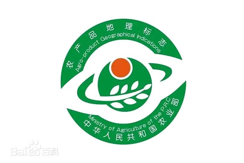 新县山茶油–中国河南省信阳市新县特产