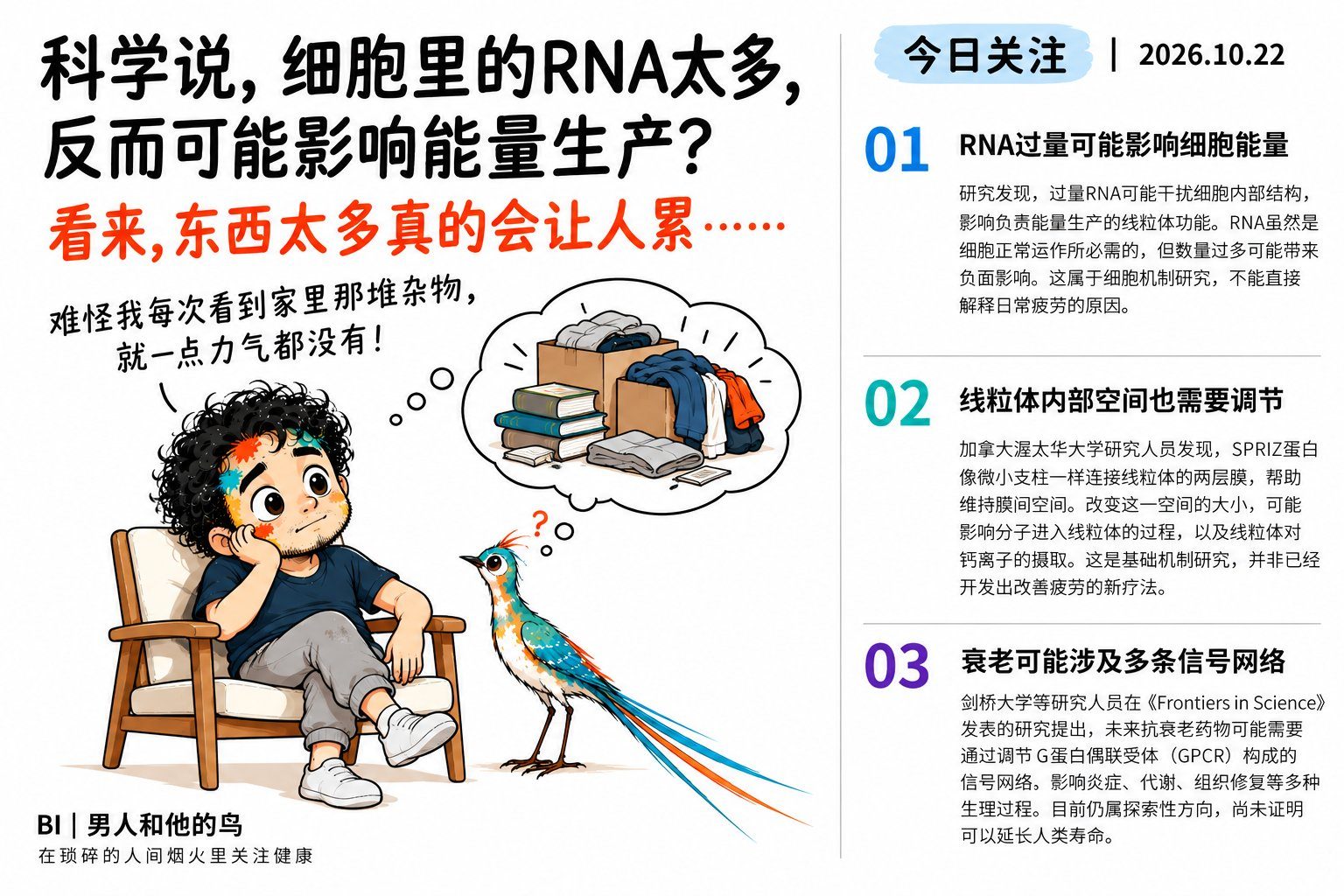 今日健康科学关注